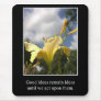 Good Ideas Must be Acted Upon