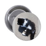 Good Kitten Pinback Buttons