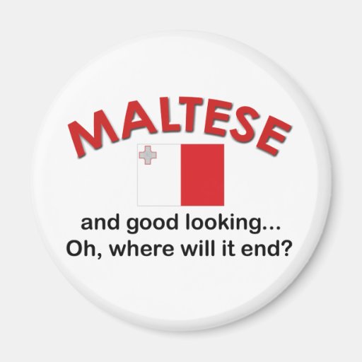 Good Looking Maltese Refrigerator Magnet