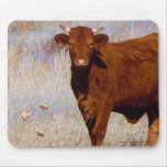 Good Looking Young Red Bull - Toro - Taurus mousepads