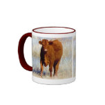 Good Looking Young Red Bull - Toro - Taurus mugs