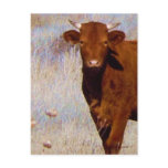 Good Looking Young Red Bull - Toro - Taurus postcards
