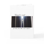 Good Luck!  (Black cat) cards