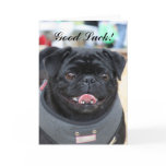 Good Luck Black Pug greeting card
