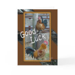 Good Luck-customize Cards