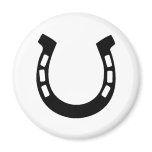 good luck horseshoe magnets