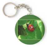 Good Luck! keychains