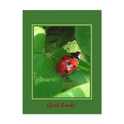 Good Luck! Post Cards by Rainmountain