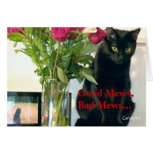 "Good Mews/Bad Mews" Birthday Cards