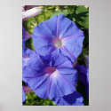 "Good Morning, Glory" posters