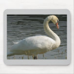 Good Morning Swan Mousepad
