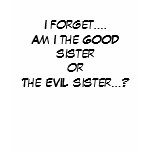 Good or Evil? t-shirts