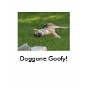 Goofy Dog t-shirts