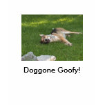 Goofy Dog t-shirts