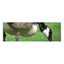 Goose Bookmark Business Card Templates