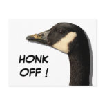 Goose Head Postcard