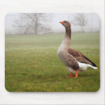 Goose mousepads
