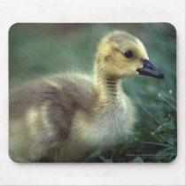 Goose mousepads