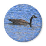GOOSE ON THE LAKE FRIDGE MAGNETS