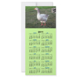 Goose photo 2011 calendar rack card template