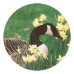GOOSE WITH DAFFODILS STICKER