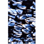 Gooseneck Barnacle Photo Cutout