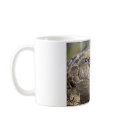 Gopher Turtle, Coffee, Stat! mugs