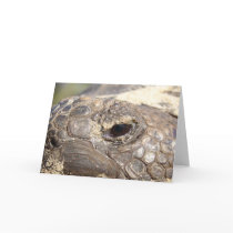 Gopher Turtle not happy Card