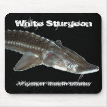 gord stuff mouse mat