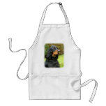 Gordon Setter 9T012D-135 aprons