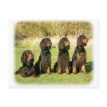 Gordon Setter 9Y105D-080 postcards