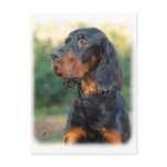 Gordon Setter 9Y109D-021 postcards