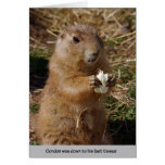 Gordon the Gopher cards