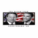 Gore Obama 2008 photo sculptures