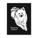 Gorgeous black/white American Eskimo postcard