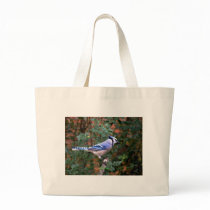 Gorgeous Blue Jay Bag