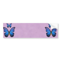 Gorgeous Blue Morpho Butterfly