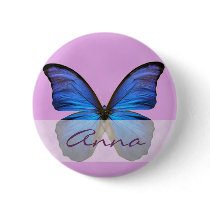 Gorgeous Blue Morpho Butterfly