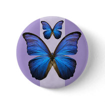 Gorgeous Blue Morpho Butterfly