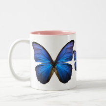 Gorgeous Blue Morpho Butterfly Coffee Mugs