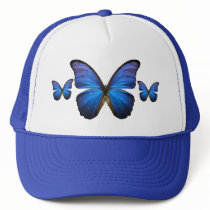 Gorgeous Blue Morpho Butterfly