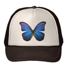Gorgeous Blue Morpho Butterfly Hat