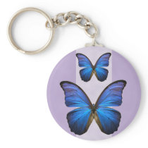 Gorgeous Blue Morpho Butterfly