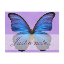 Gorgeous Blue Morpho Butterfly