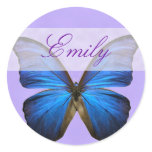 Gorgeous Blue Morpho Butterfly