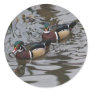 Gorgeous Colourful Wood Ducks In Pond Photograph
