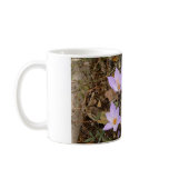 Gorgeous Fall Crocuses mugs