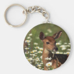 Gorgeous Fawn Key Chains
