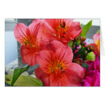 Gorgeous Flowers Cards