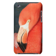 Gorgeous Pink Flamingo IPod Case iPod Touch Cases